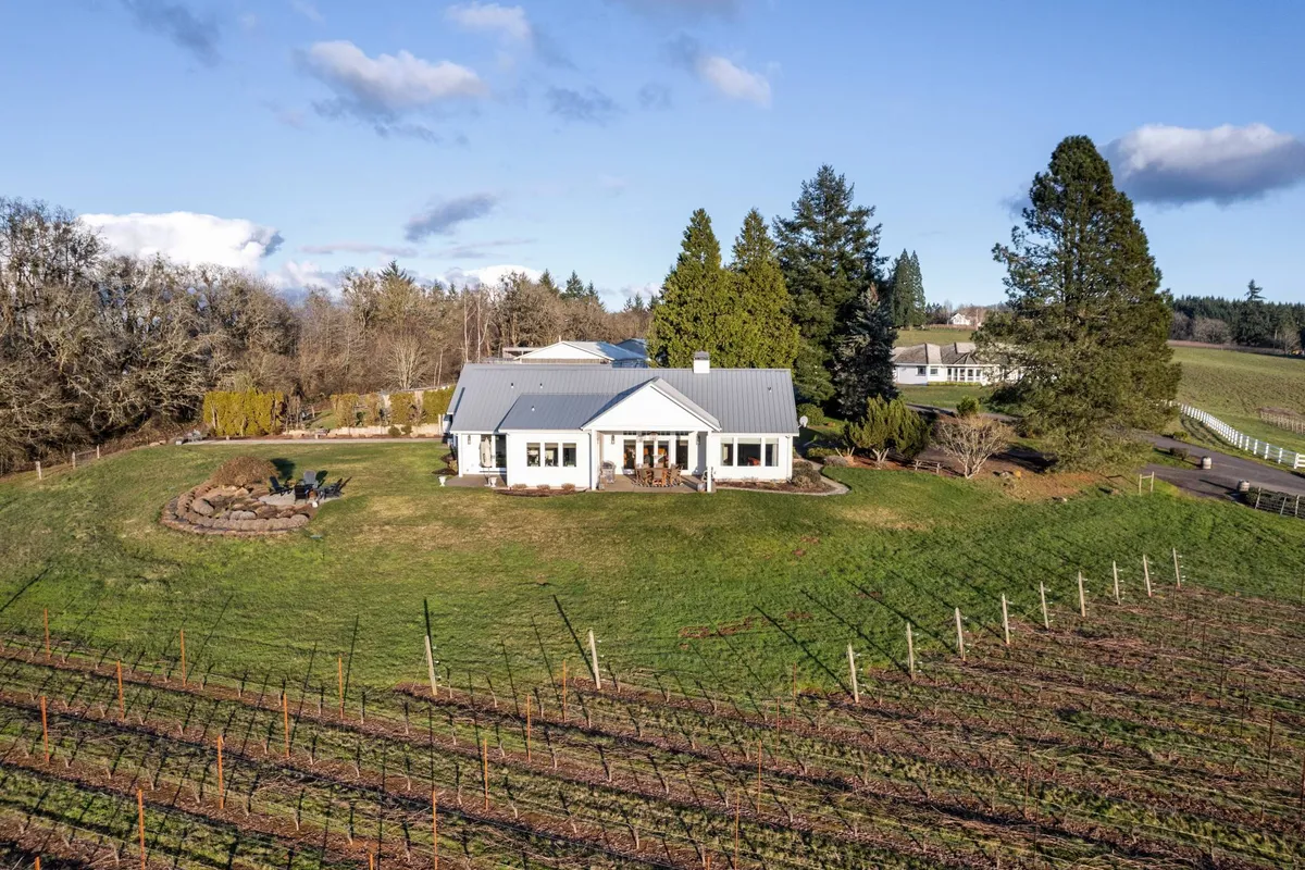 A wide-angle exterior view of the house set amidst expansive vineyards and a manicured lawn. The grounds stretch toward the horizon, evoking privacy and offering ample space for strolling, games, and quiet contemplation.