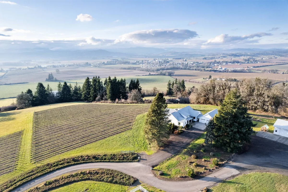 The image showcases a beautiful single-family guest house perched atop a gentle hill, surrounded by rows of lush vineyard fields and with sweeping views of distant Oregon mountains under a tranquil sky. The setting is serene, inviting guests to enjoy sunsets, peaceful walks among the vines, and outdoor gatherings in the heart of wine country.